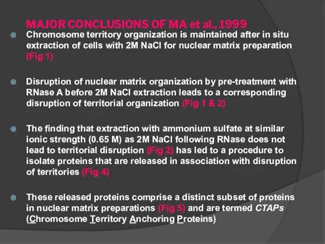 MAJOR CONCLUSIONS OF MA et al., 1999 Chromosome territory organization is