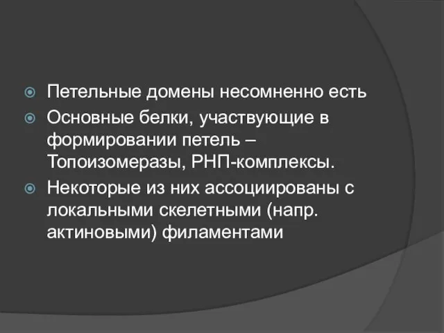 Петельные домены несомненно есть Основные белки, участвующие в формировании петель –