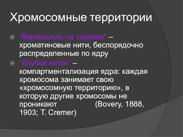 Хромосомные территории “Вермишель на тарелке” – хроматиновые нити, беспорядочно распределенные по