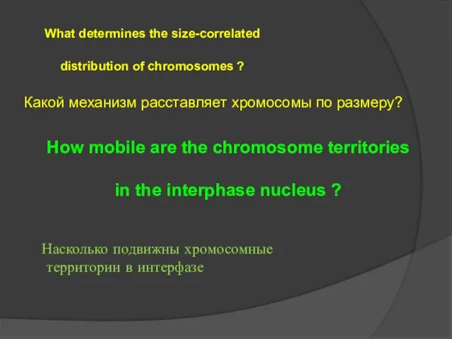 How mobile are the chromosome territories in the interphase nucleus ?