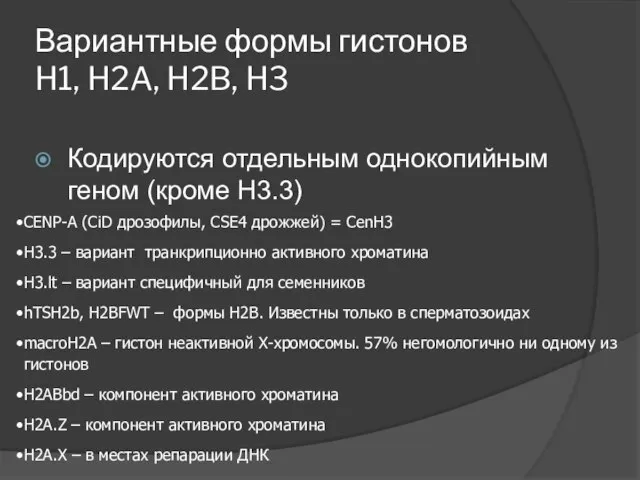 Вариантные формы гистонов H1, H2A, H2B, H3 Кодируются отдельным однокопийным геном