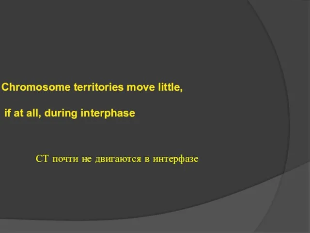 Chromosome territories move little, if at all, during interphase СТ почти не двигаются в интерфазе