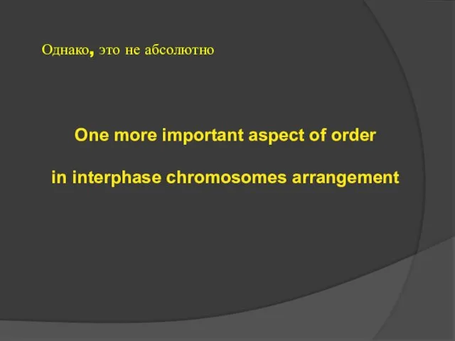 One more important aspect of order in interphase chromosomes arrangement Однако, это не абсолютно