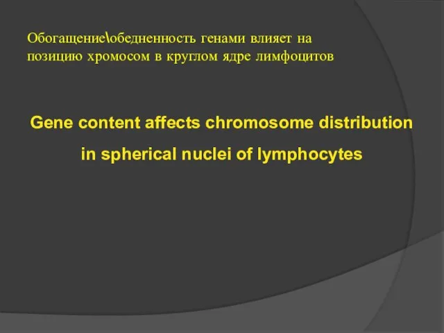 Gene content affects chromosome distribution in spherical nuclei of lymphocytes Обогащение\обедненность