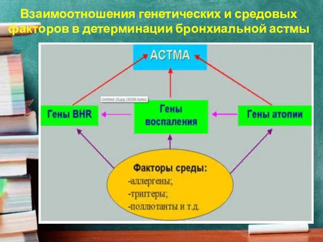 Взаимоотношения генетических и средовых факторов в детерминации бронхиальной астмы