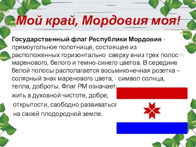 Мой край, Мордовия моя! Государственный флаг Республики Мордовия - прямоугольное полотнище,
