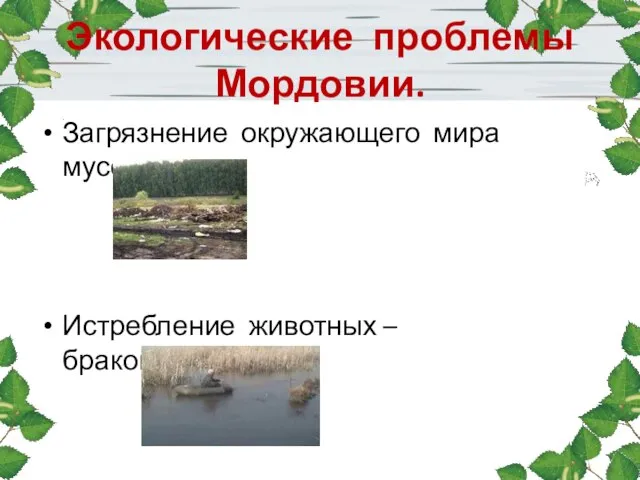 Экологические проблемы Мордовии. Загрязнение окружающего мира мусором. Истребление животных – браконьерство.