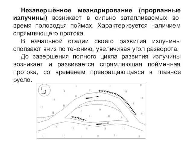 Незавершённое меандрирование (прорванные излучины) возникает в сильно затапливаемых во время половодья