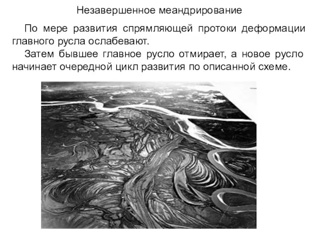 Незавершенное меандрирование По мере развития спрямляющей протоки деформации главного русла ослабевают.