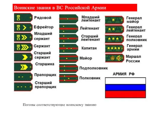 Воинские звания в ВС Российской Армии Погоны соответствующие воинскому званию