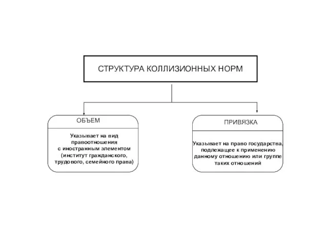 СТРУКТУРА КОЛЛИЗИОННЫХ НОРМ ОБЪЕМ ПРИВЯЗКА Указывает на вид правоотношения с иностранным