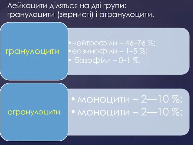 Лейкоцити діляться на дві групи: гранулоцити (зернисті) і агранулоцити.