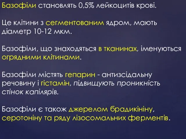 Базофіли становлять 0,5% лейкоцитів крові. Це клітини з сегментованим ядром, мають