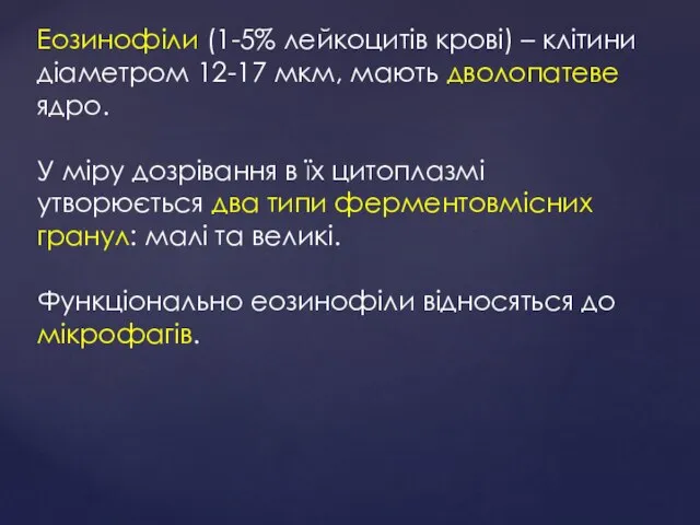 Еозинофіли (1-5% лейкоцитів крові) – клітини діаметром 12-17 мкм, мають дволопатеве