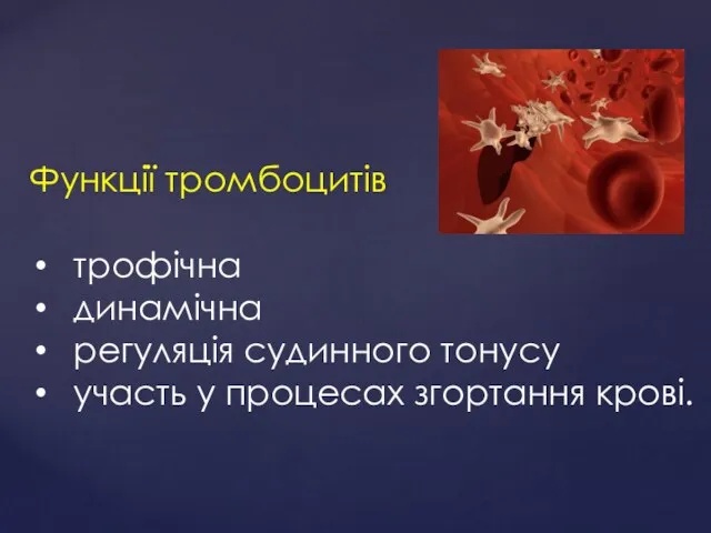 Функції тромбоцитів трофічна динамічна регуляція судинного тонусу участь у процесах згортання крові.