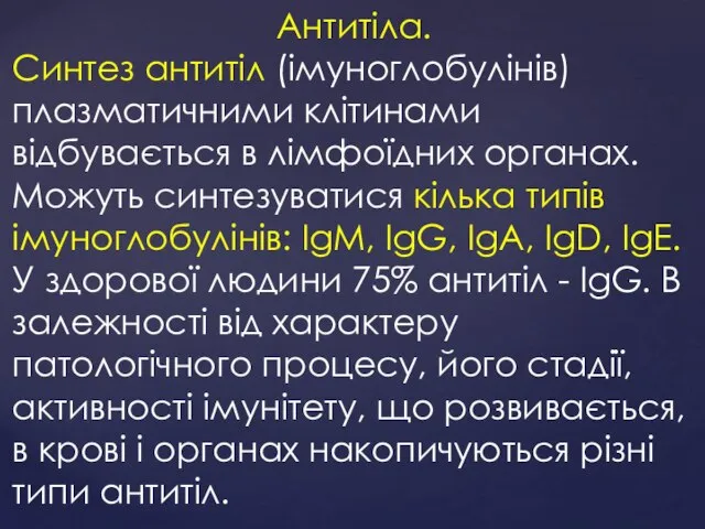 Антитіла. Синтез антитіл (імуноглобулінів) плазматичними клітинами відбувається в лімфоїдних органах. Можуть