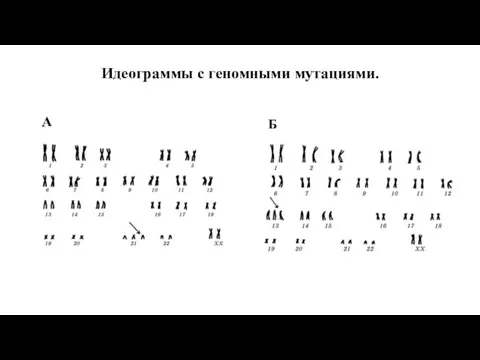 Идеограммы с геномными мутациями. А Б