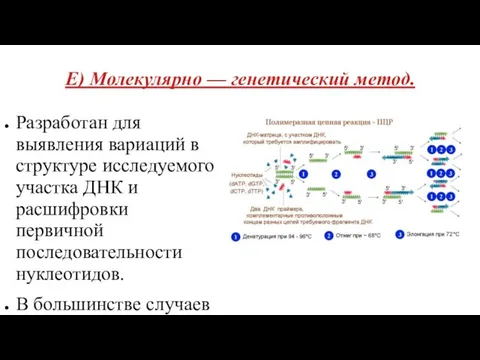 Е) Молекулярно — генетический метод. Разработан для выявления вариаций в структуре