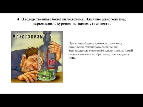 4. Наследственные болезни человека. Влияние алкоголизма, наркомании, курения на наследственность. При