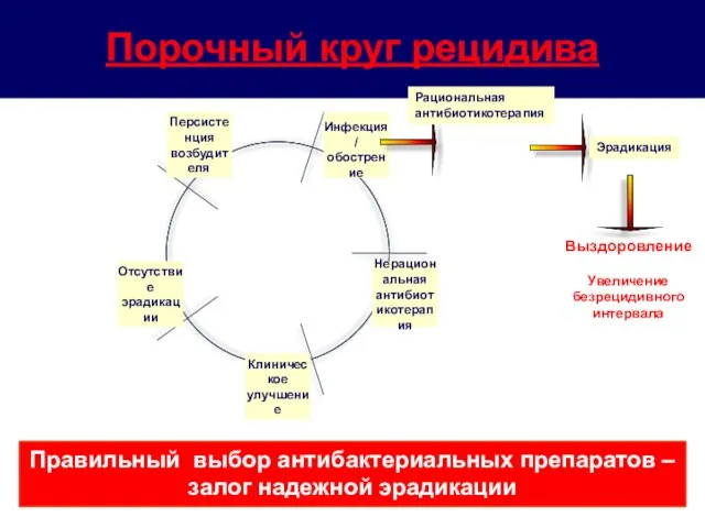 Порочный круг рецидива Правильный выбор антибактериальных препаратов – залог надежной эрадикации Эрадикация Выздоровление Увеличение безрецидивного интервала