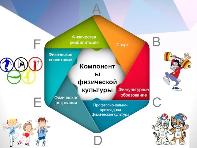 B D E F A Физическая рекреация Физическое воспитание Физическая реабилитация