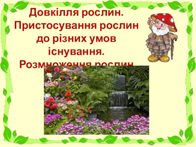 Довкілля рослин. Пристосування рослин до різних умов існування. Розмноження рослин