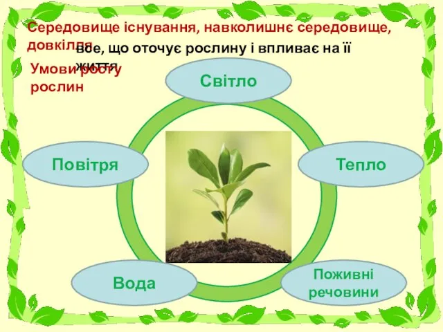 Середовище існування, навколишнє середовище, довкілля все, що оточує рослину і впливає