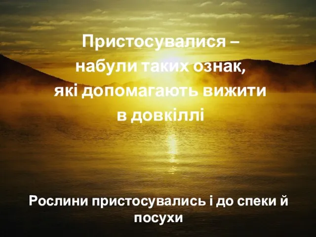 Рослини виживають в умовах, де ґрунт глибоко промерзає Рослини пристосувались і