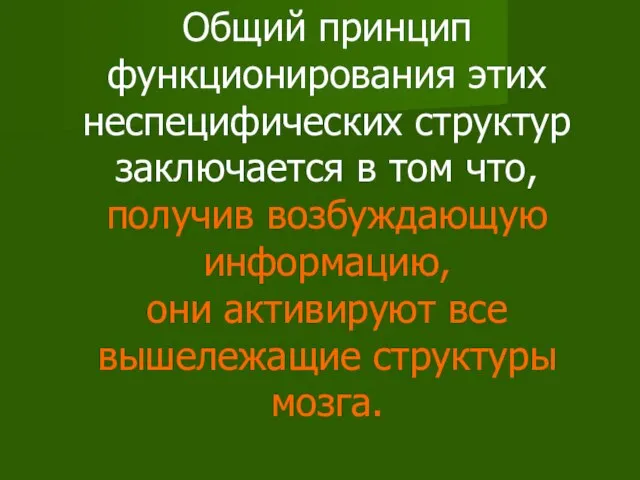 Общий принцип функционирования этих неспецифических структур заключается в том что, получив