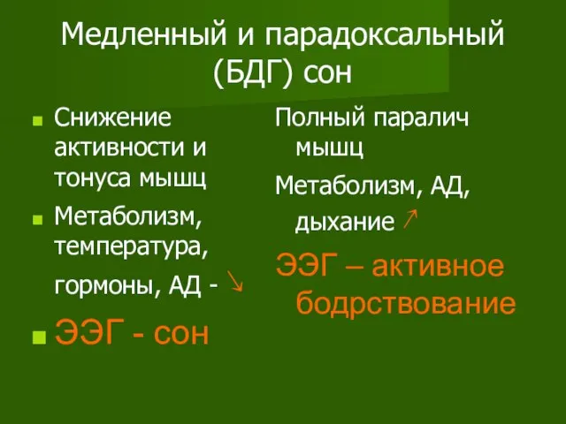 Медленный и парадоксальный (БДГ) сон Снижение активности и тонуса мышц Метаболизм,