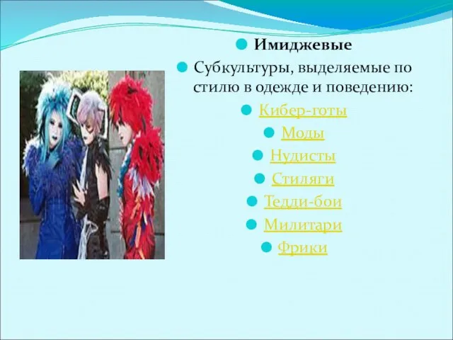 Имиджевые Субкультуры, выделяемые по стилю в одежде и поведению: Кибер-готы Моды Нудисты Стиляги Тедди-бои Милитари Фрики