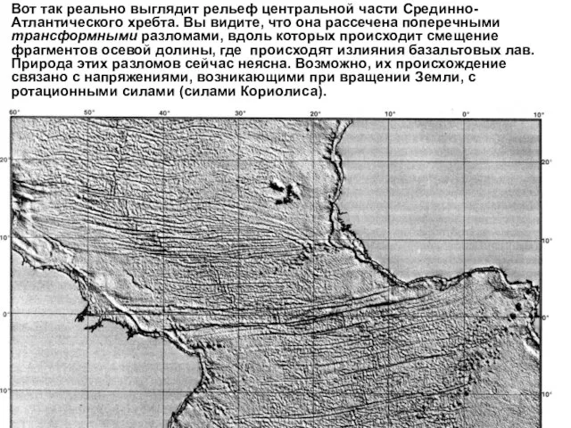 Вот так реально выглядит рельеф центральной части Срединно-Атлантического хребта. Вы видите,