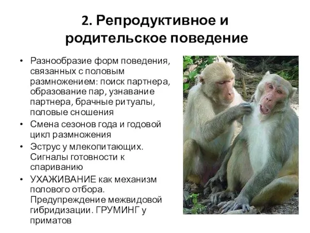 2. Репродуктивное и родительское поведение Разнообразие форм поведения, связанных с половым