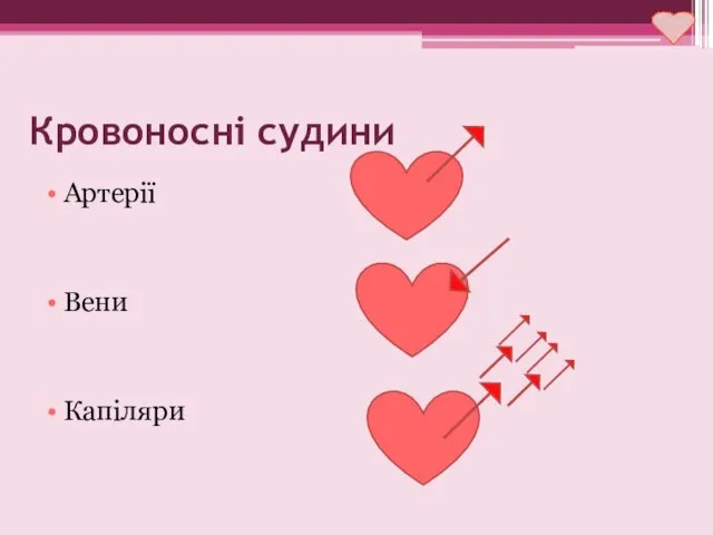 Кровоносні судини Артерії Вени Капіляри