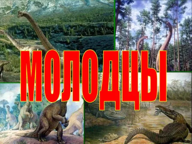 МОЛОДЦЫ