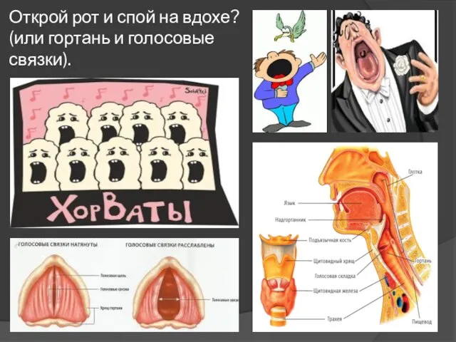 Открой рот и спой на вдохе? (или гортань и голосовые связки).