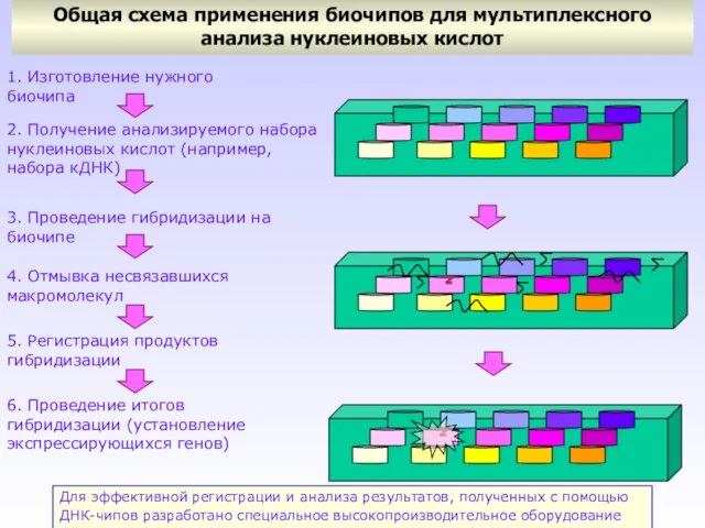 Общая схема применения биочипов для мультиплексного анализа нуклеиновых кислот 1. Изготовление