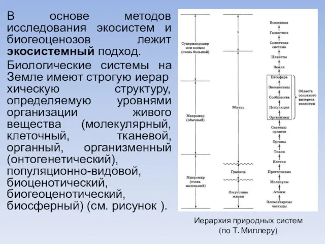 В основе методов исследования экосистем и биогеоценозов лежит экосистемный подход. Биологические