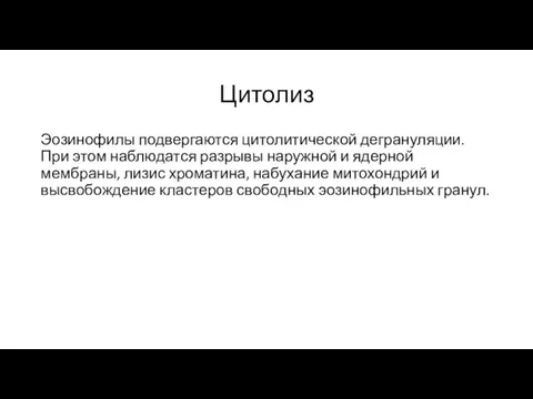 Цитолиз Эозинофилы подвергаются цитолитической дегрануляции. При этом наблюдатся разрывы наружной и