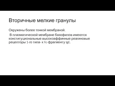 Вторичные мелкие гранулы Окружены более тонкой мембраной. В плазматической мембране базофилов