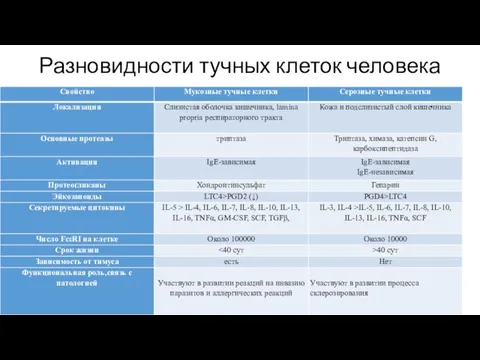 Разновидности тучных клеток человека