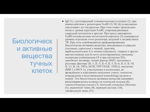 Биологически активные вещества тучных клеток IgE (1), синтезируемый плазматическими клетками (2),