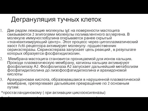 Дегрануляция тучных клеток Две рядом лежащие молекулы IgE на поверхности мастоцита