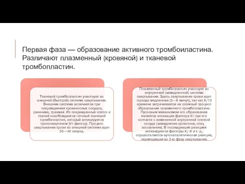 Первая фаза — образование активного тромбоиластина. Различают плазменный (кровяной) и тканевой тромбопластин.