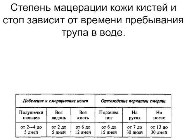 Степень мацерации кожи кистей и стоп зависит от времени пребывания трупа в воде.