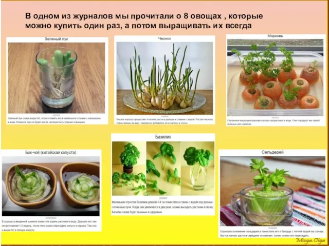 В одном из журналов мы прочитали о 8 овощах , которые