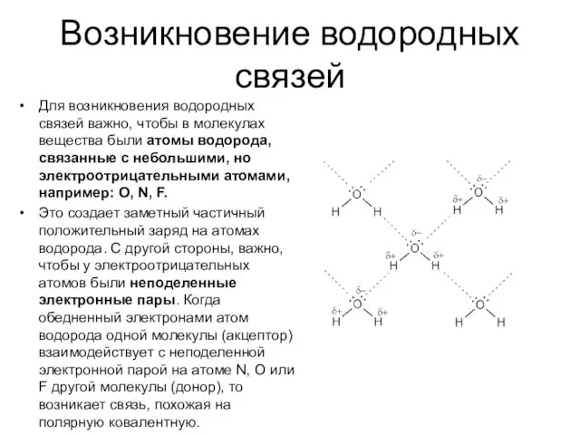 Возникновение водородных связей Для возникновения водородных связей важно, чтобы в молекулах