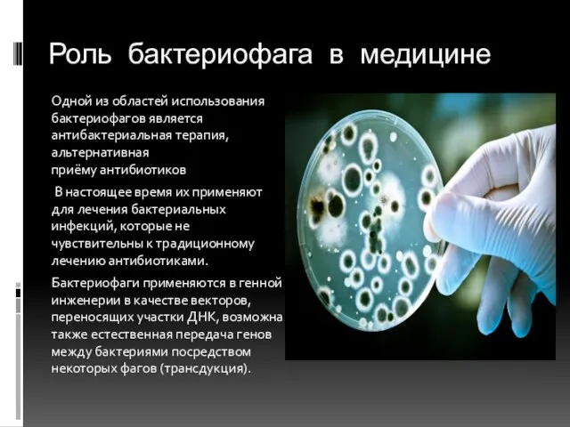 Роль бактериофага в медицине Одной из областей использования бактериофагов является антибактериальная