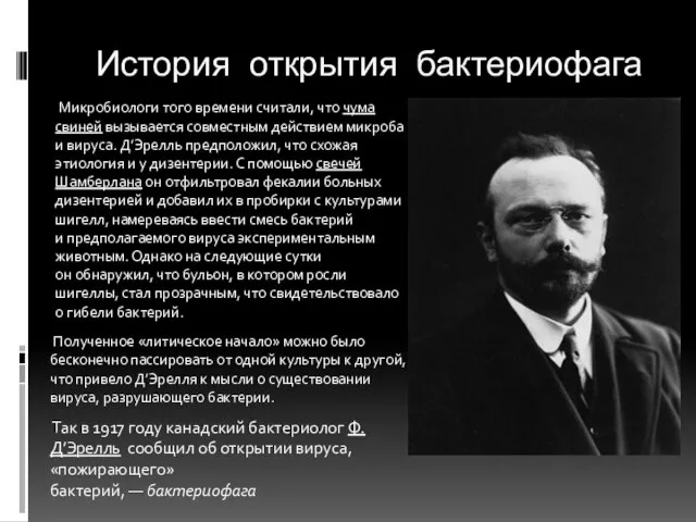 История открытия бактериофага Микробиологи того времени считали, что чума свиней вызывается