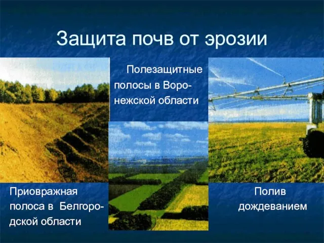 Защита почв от эрозии Полезащитные полосы в Воро- нежской области Приовражная